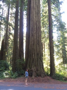 9/1- Redwoods- Me for scale
